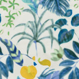 Hibiscus Wallpaper 152
